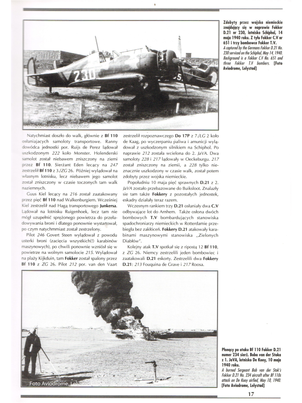 Fokker D.21 in finnish and dutch service