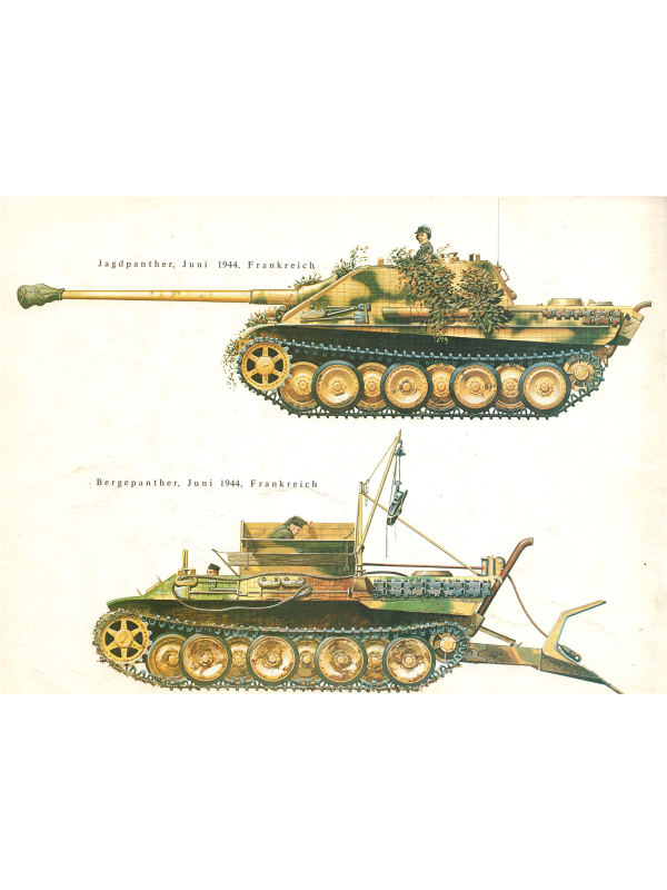 Panther