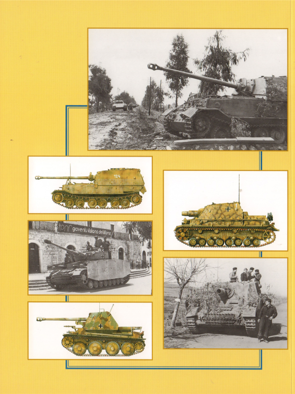 Panzers in Italy 1943-1945-1