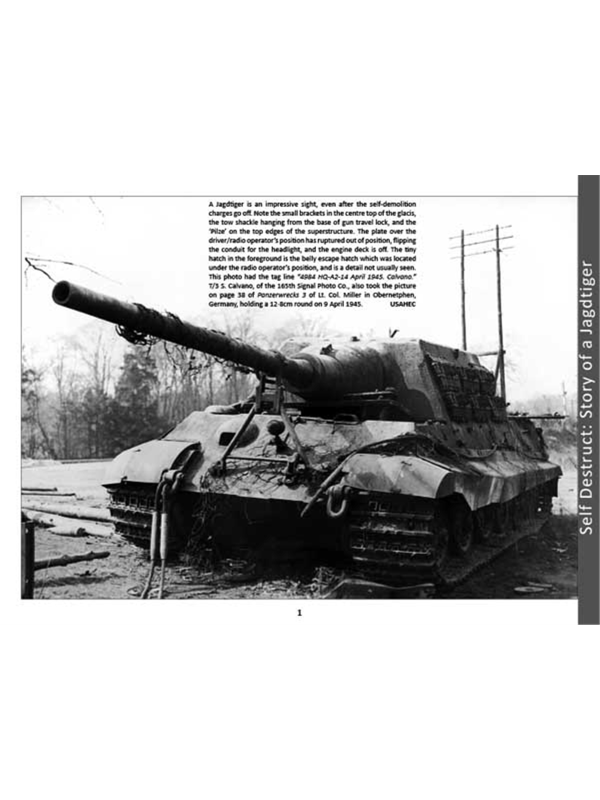 Panzerwrecks 12-1