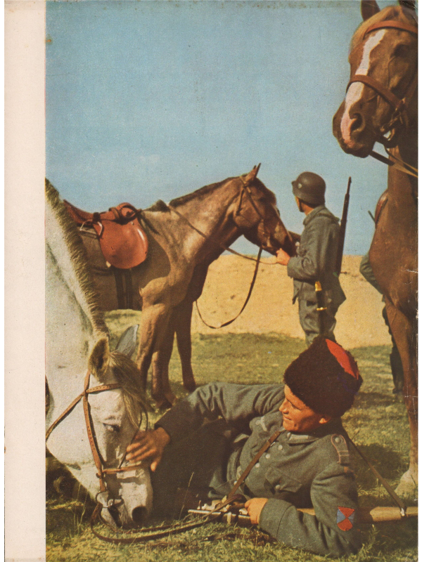 Signal magazine No 24 from 1943 Dutch language downloadable PDF