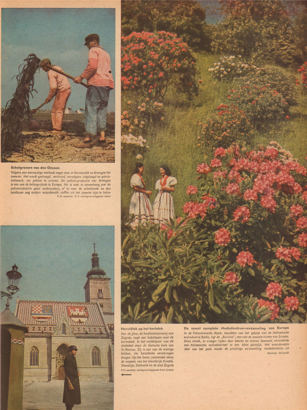 Signal magazine No 13 from 1943 Dutch language downloadable PDF