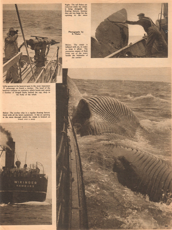 Der Adler No 19 1941 USA edition downloadable PDF