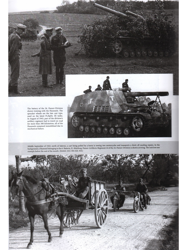 Italienfeldzug: German Tanks and Vehicles 1943-1945 Vol.3
