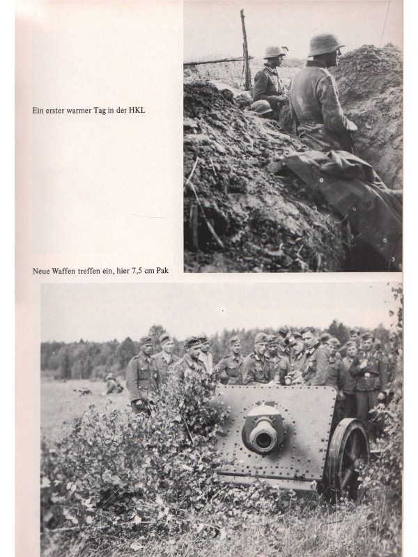 Die 78. Infanterie- und Sturm-Division 1938-1945