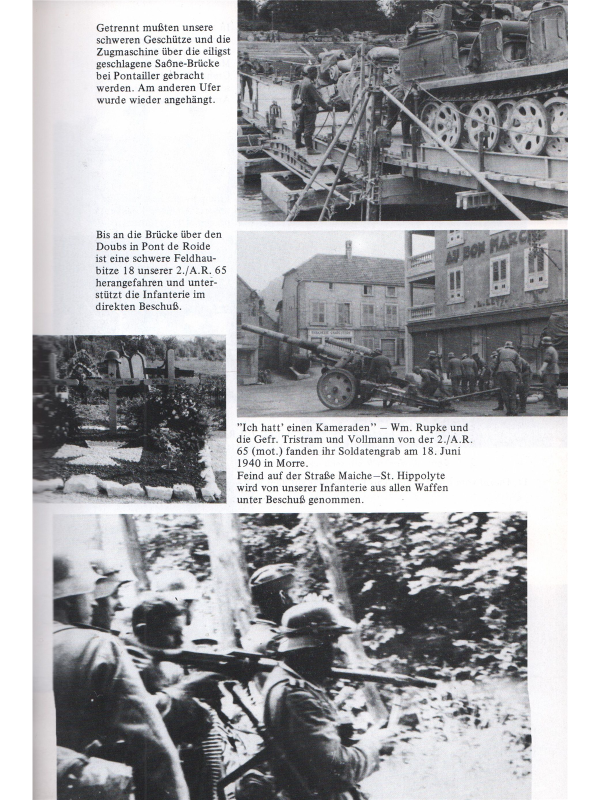 29. infanterie, Panzer-Grenadier-Division Falke Division